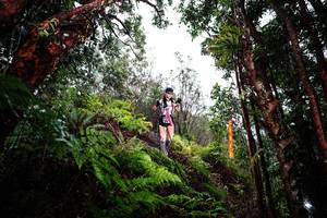 BIB: 
                            <button type="button" onclick="openModal(26205392)" class="btn btn-primary btn-sm float-right btn-popup" data-toggle="modal" data-target=".modal-high-quality">
                        <i class="fas fa-shopping-cart"></i> Add to Cart
                    </button>
                                            <button type="button" onclick="isThisMe(26205392, true)" class="btn btn-success btn-sm float-right btn-popup btn-isme hidden" data-toggle="tooltip" data-placement="bottom" title="นี่คือรูปของคุณใช่ไหม คลิกที่นี่เพื่อเอาเข้าอัลบั้ม">
                        <i class="fas fa-plus"></i> Add to album
                    </button>
                    <button type="button" onclick="isThisMe(26205392, false)" class="btn btn-warning btn-sm float-right btn-popup btn-isnotme hidden">
                        <i class="fas fa-ban"></i> Remove from album
                    </button>